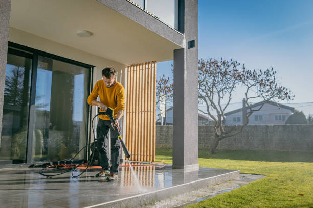 Best Roof Washing  in Guyton, GA